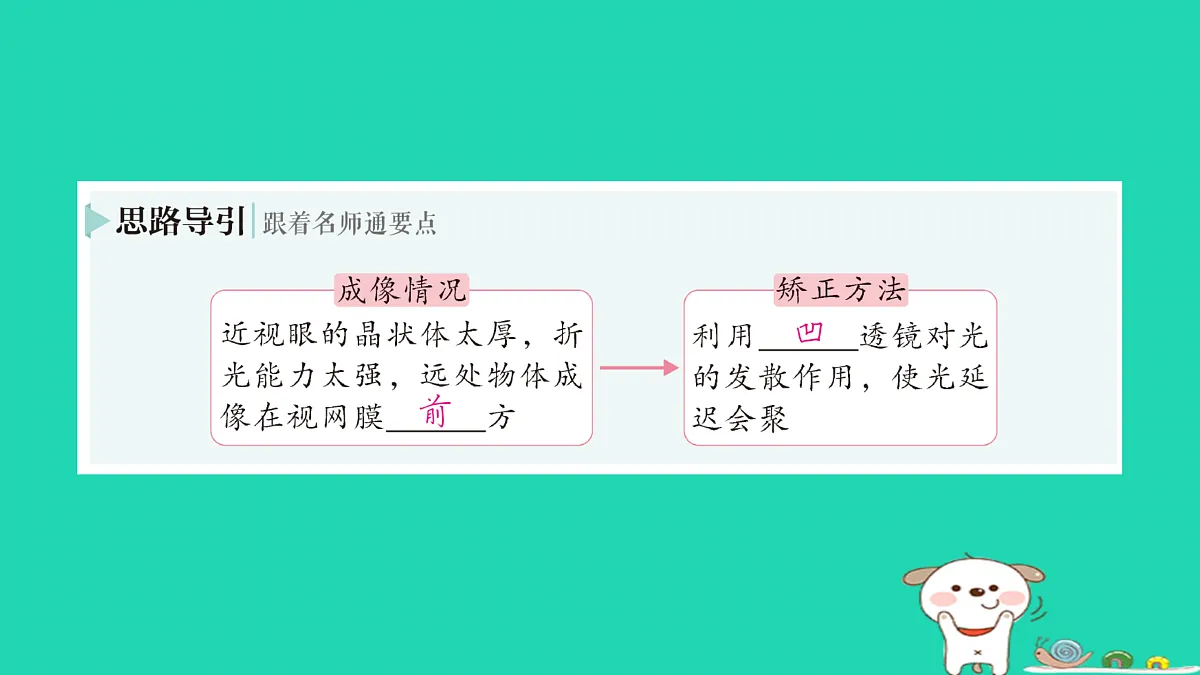 17313544第5页