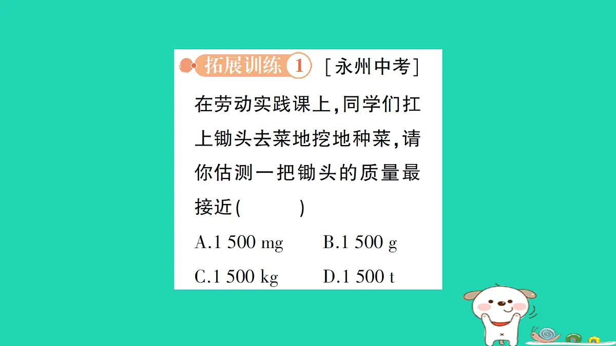 17313548第7页