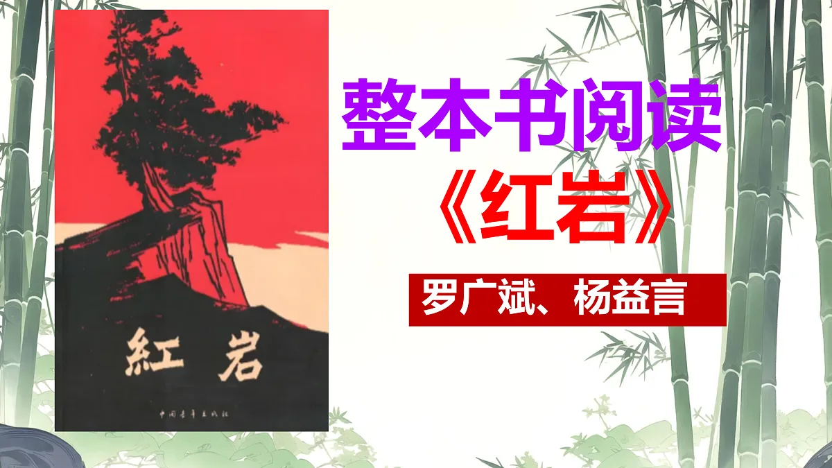 17313773第2页