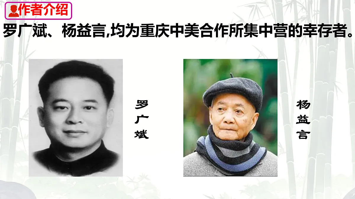 17313773第4页