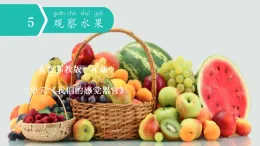 人教鄂教版一年級上冊  5 觀察水果（課件）