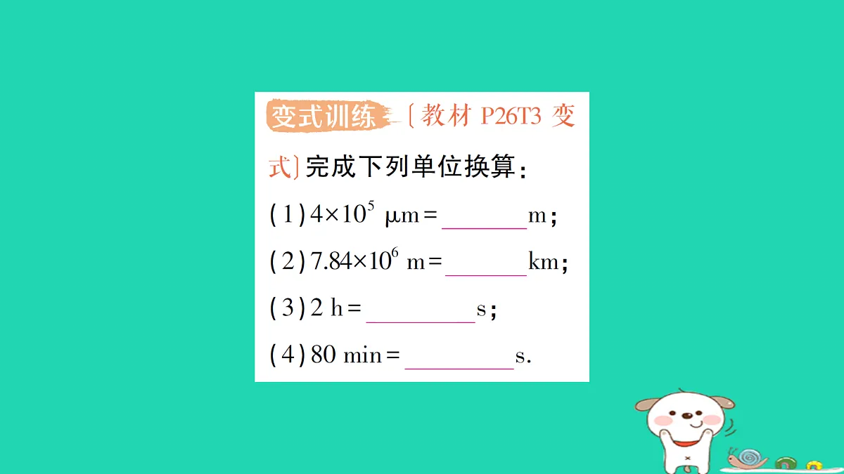 17313869第4页