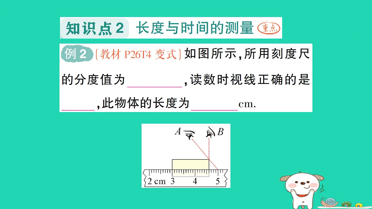 17313869第5页
