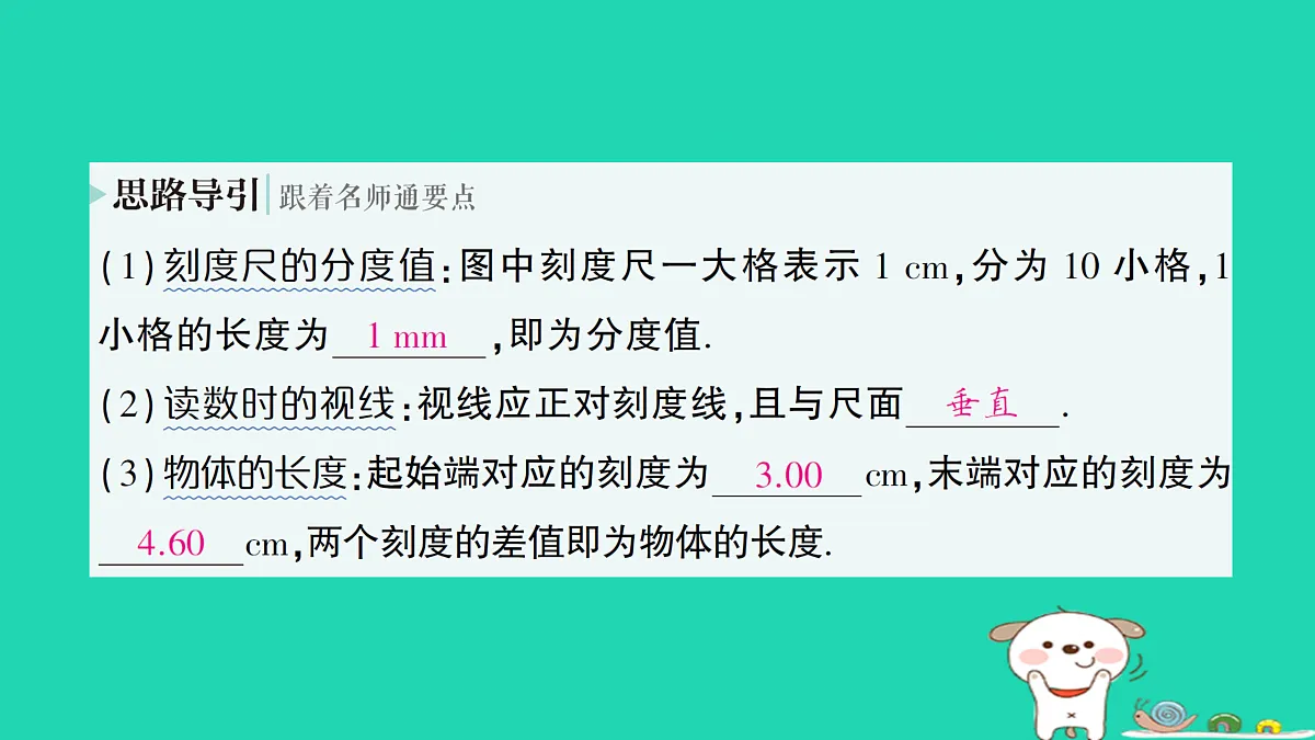 17313869第6页