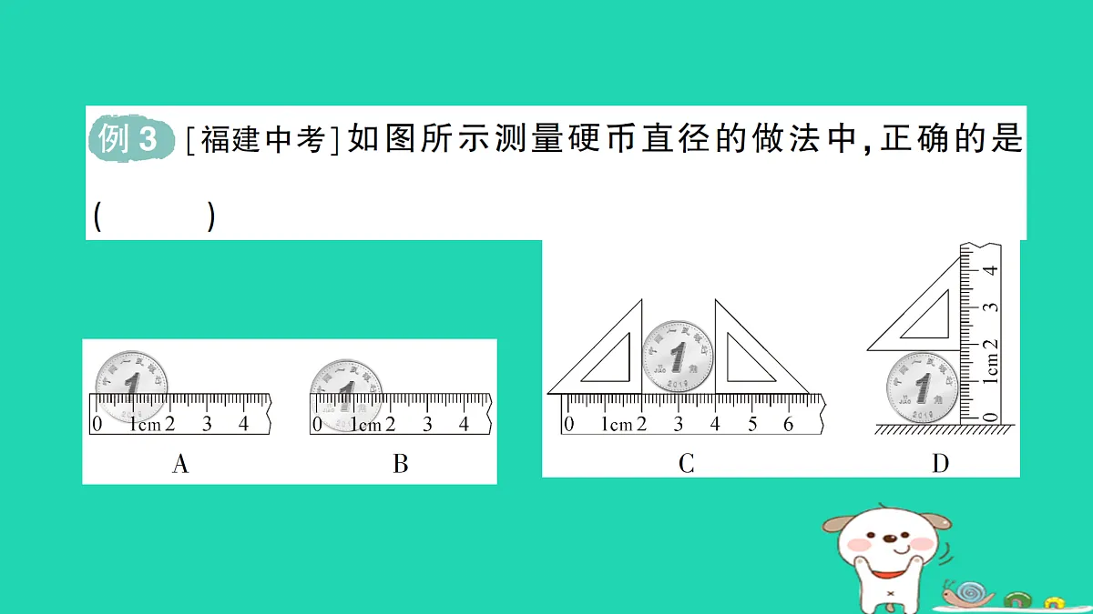 17313869第8页