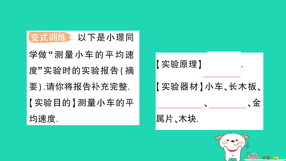 17313870第5页
