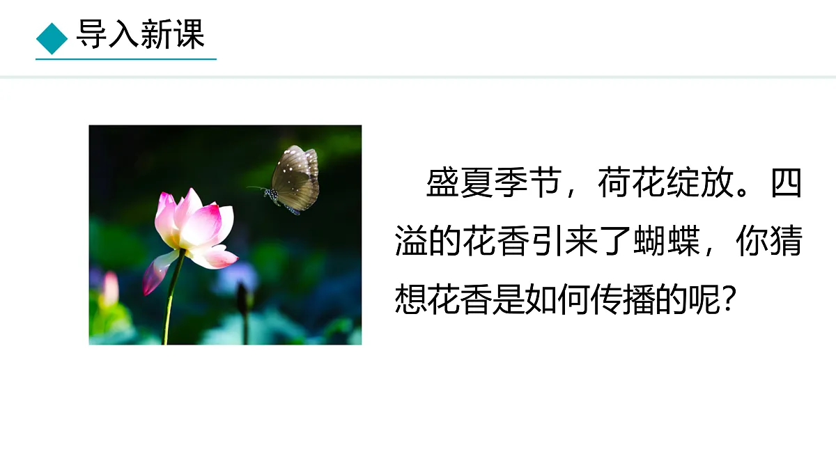 17314996第4页