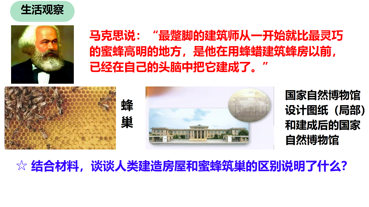 17315769第4页