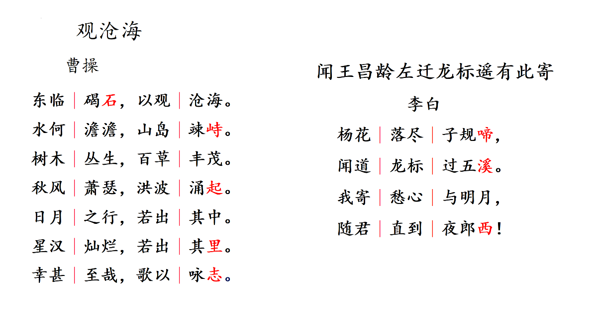 17315813第3页