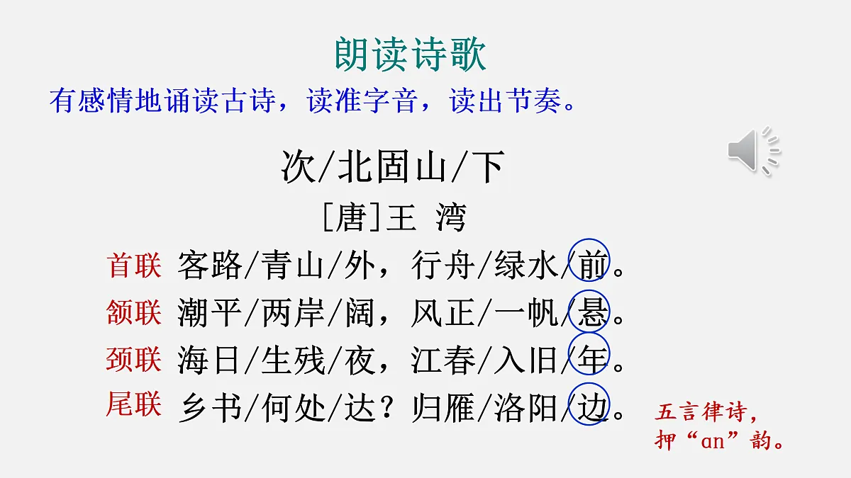 17315920第6页