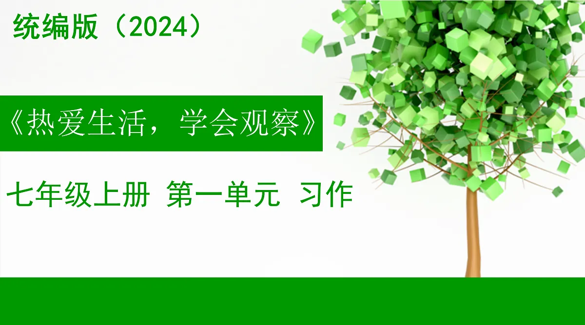 17315922第1页
