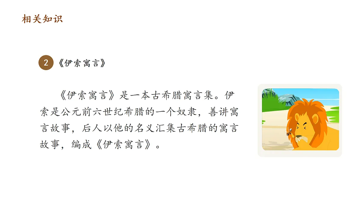 17315929第6页