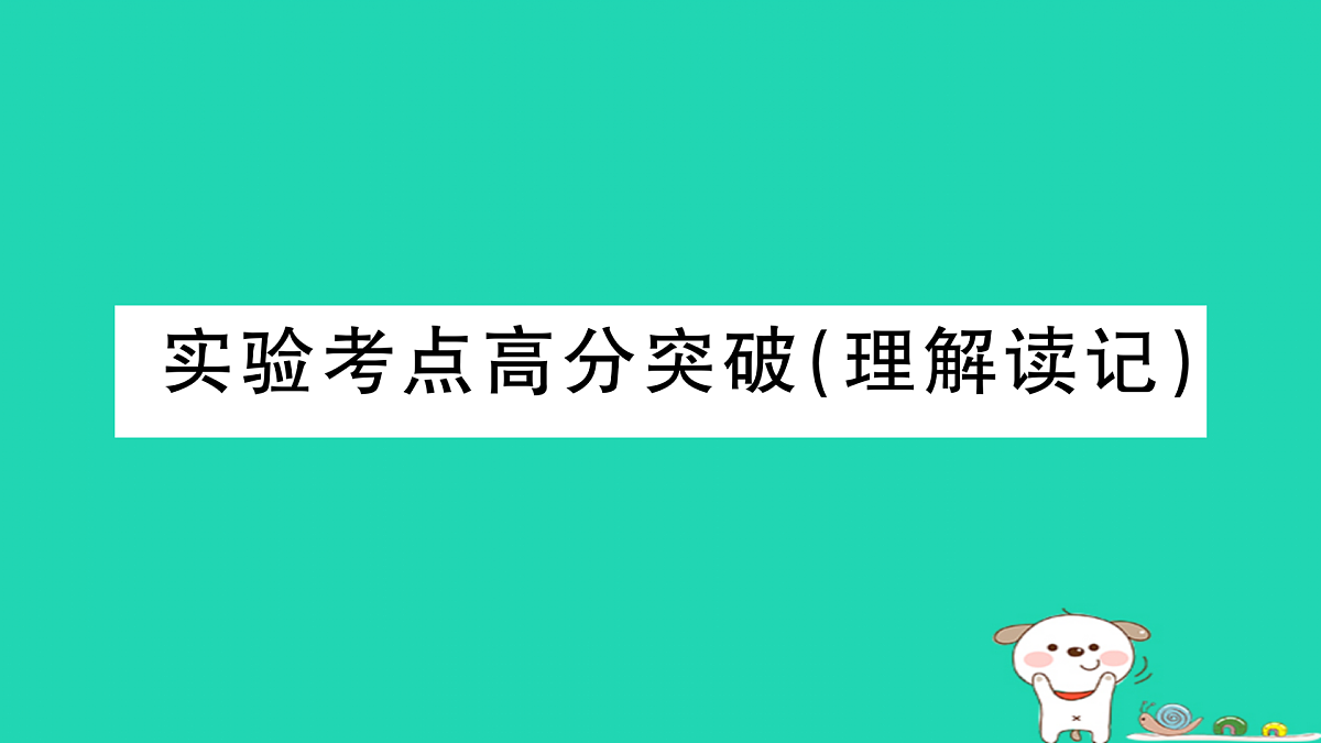 17315979第1页