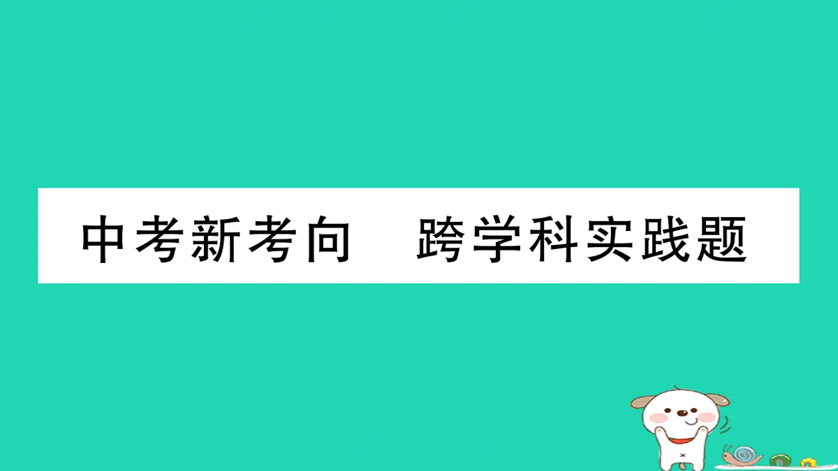 17315980第1页