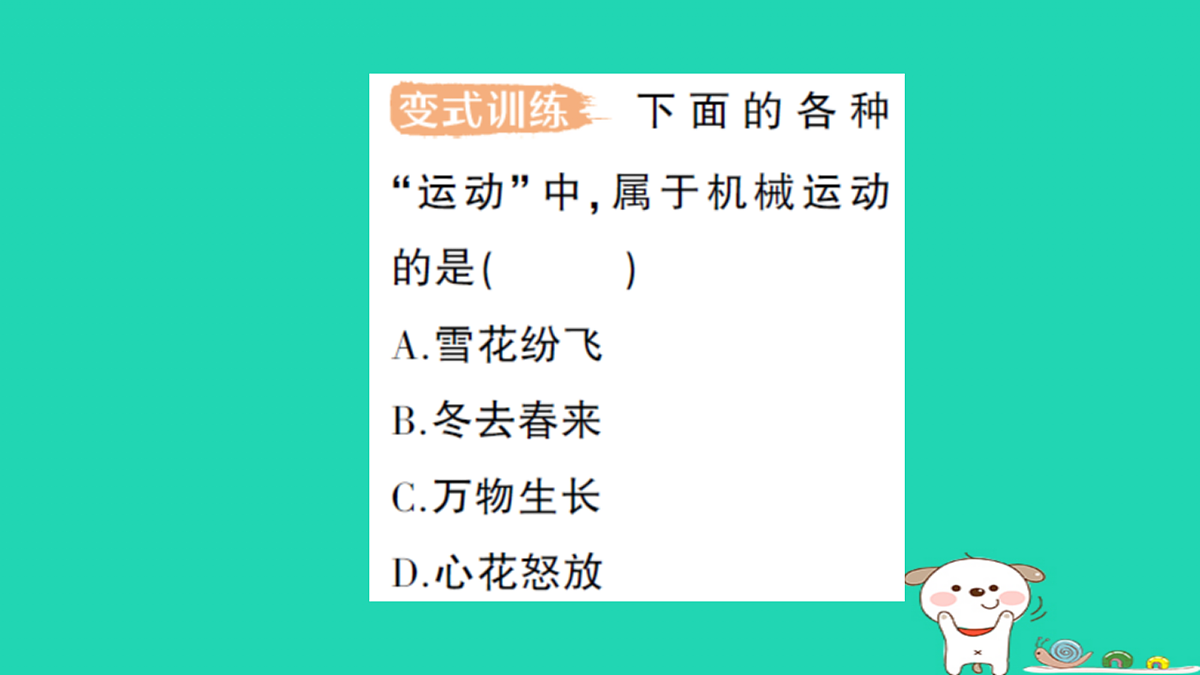 17316057第3页