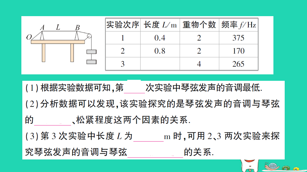 17316067第5页
