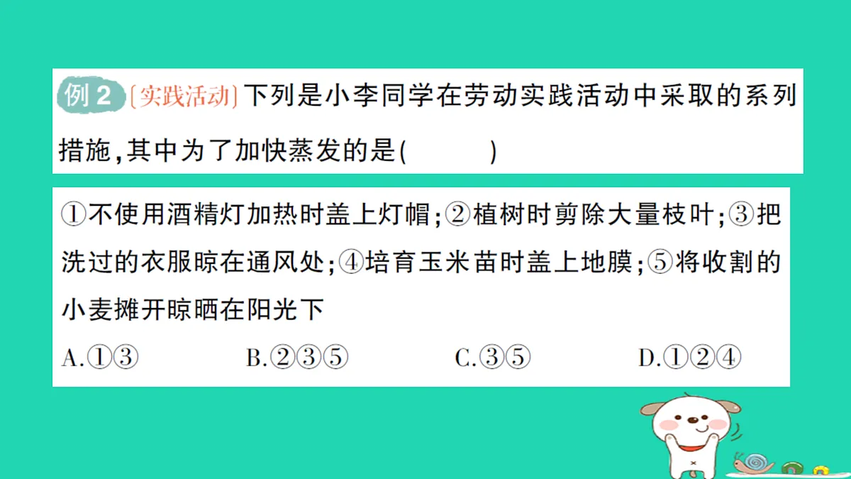17316079第7页