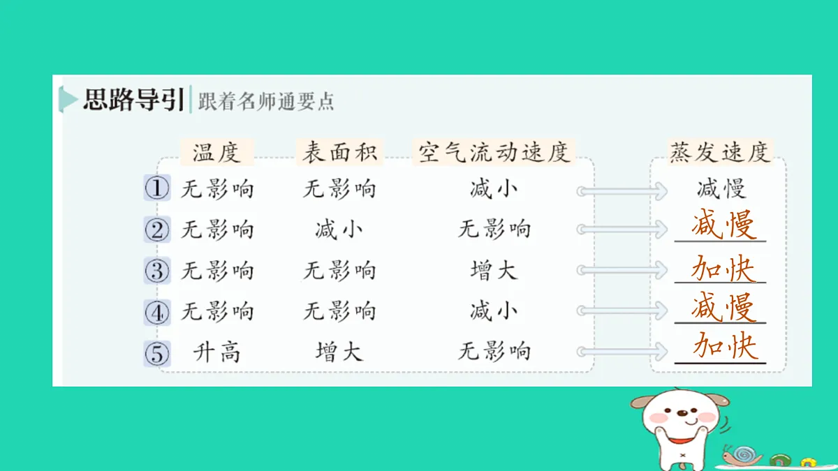 17316079第8页