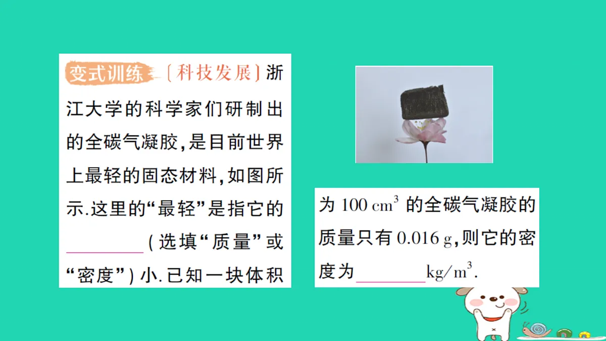17316085第8页