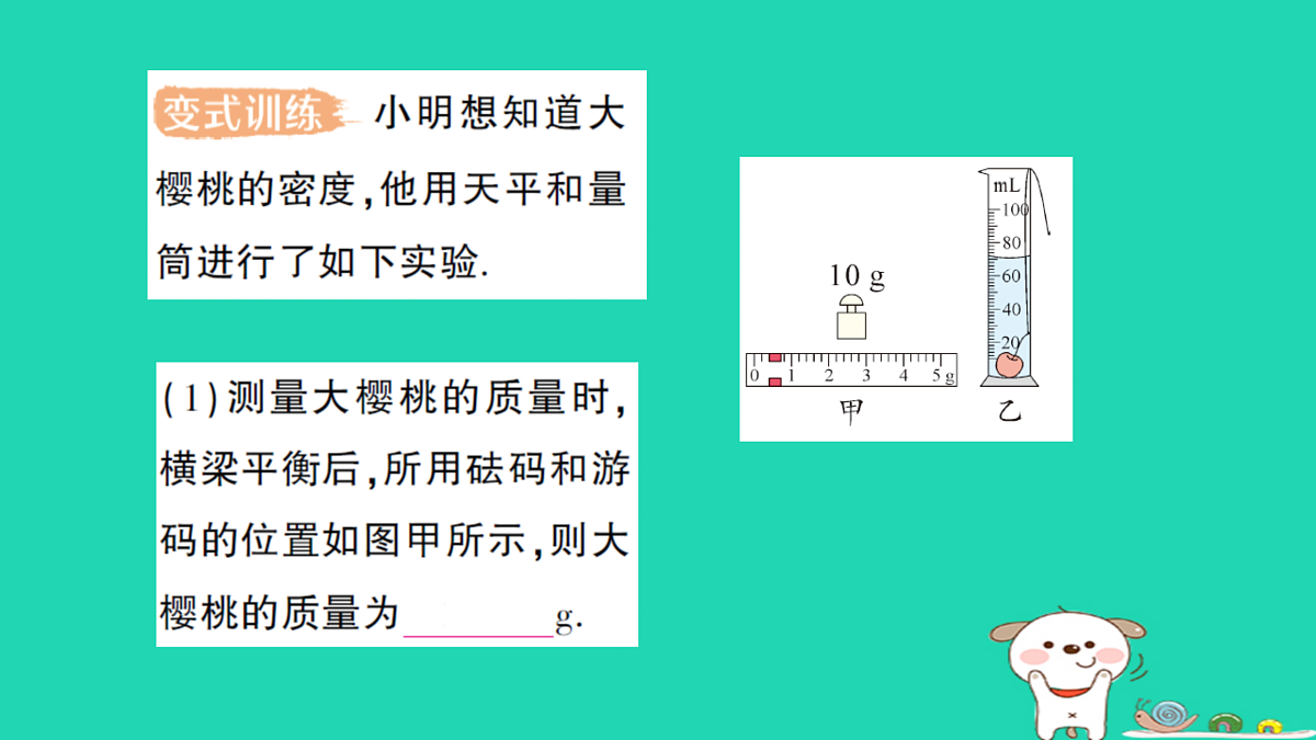 17316086第8页