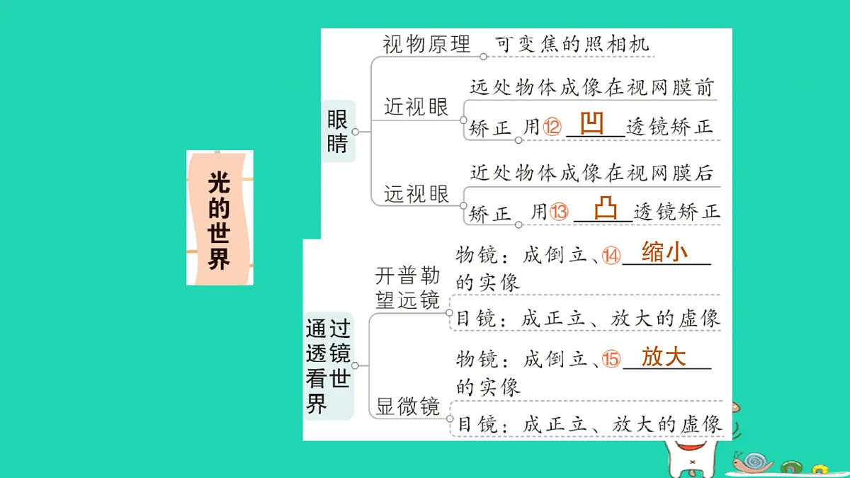 17316091第5页