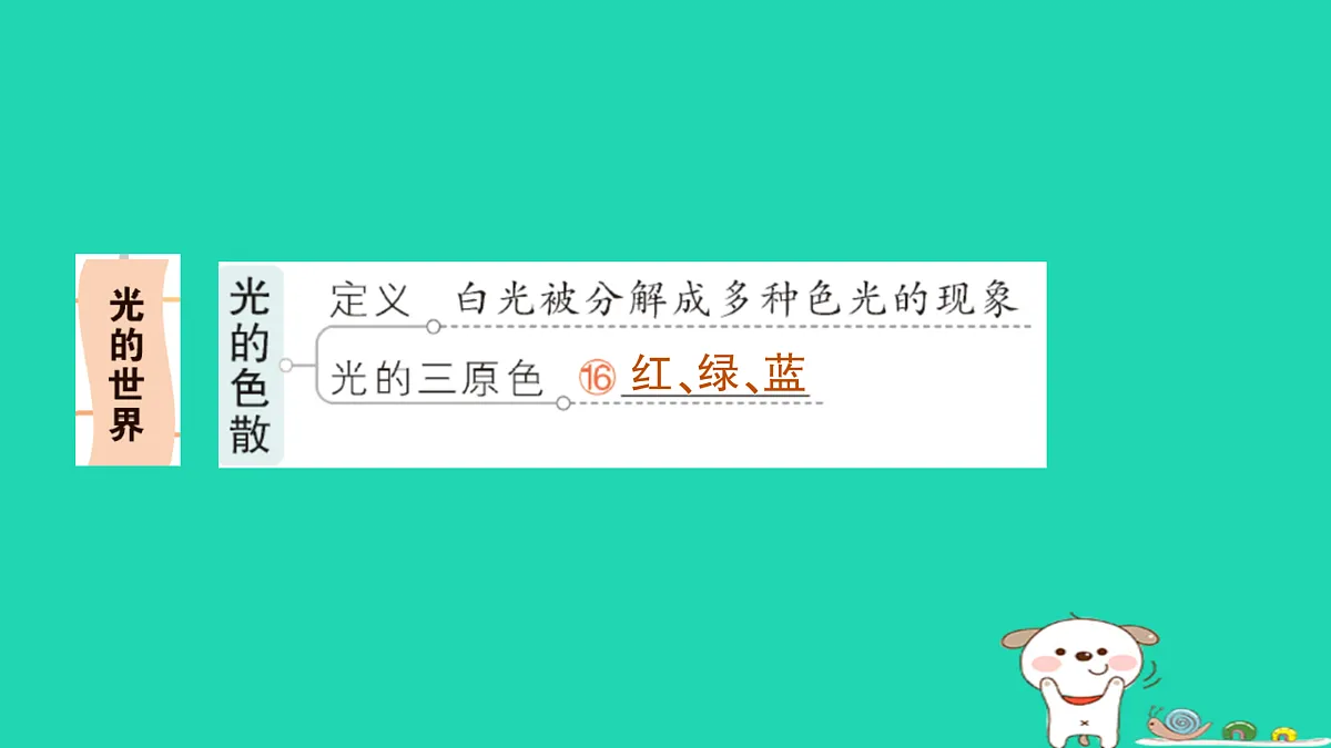 17316091第6页