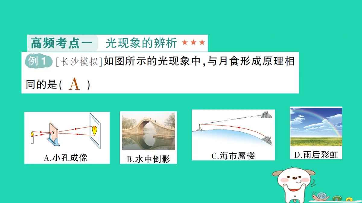 17316091第7页