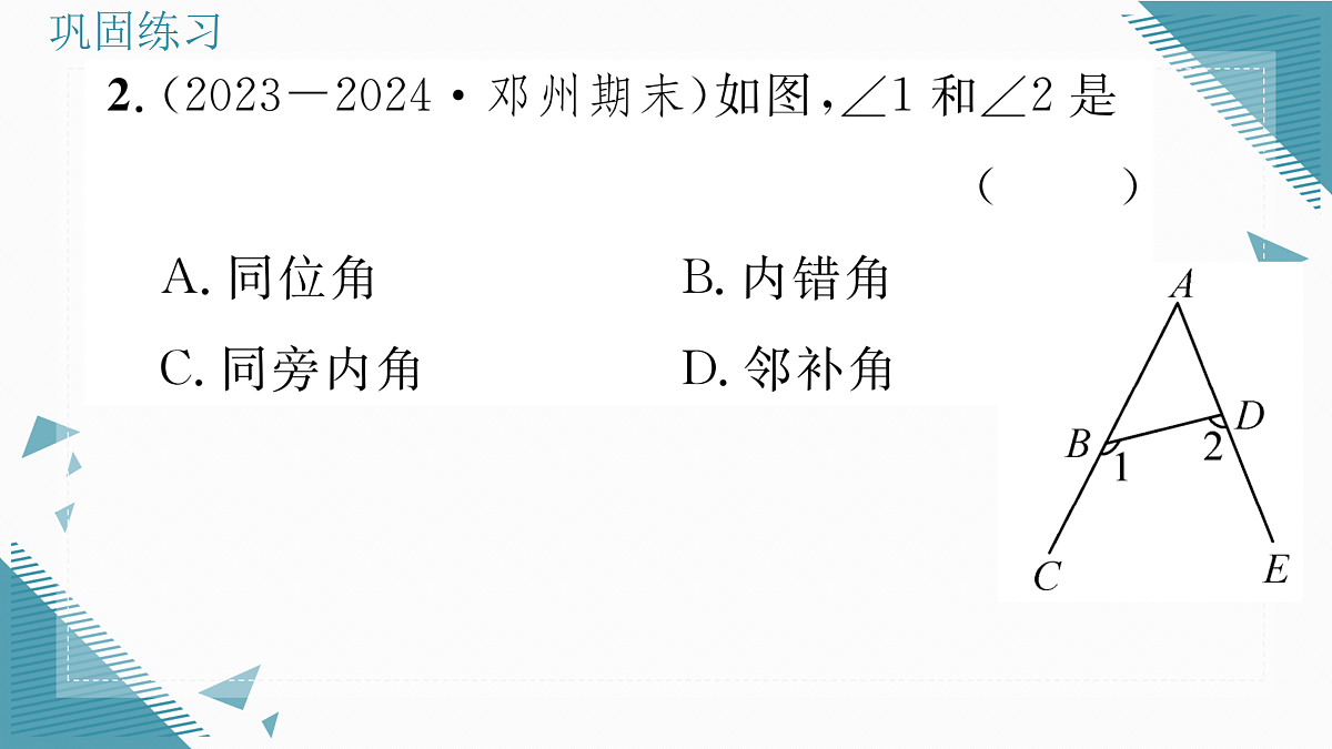 17316397第3页