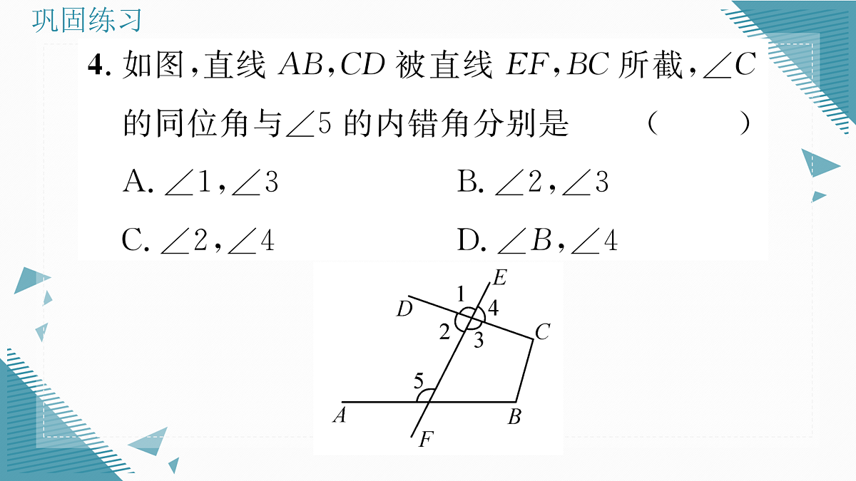 17316397第5页