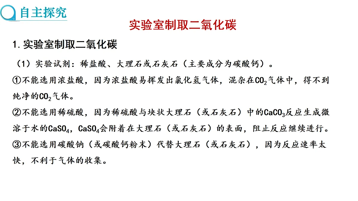 17316972第3页