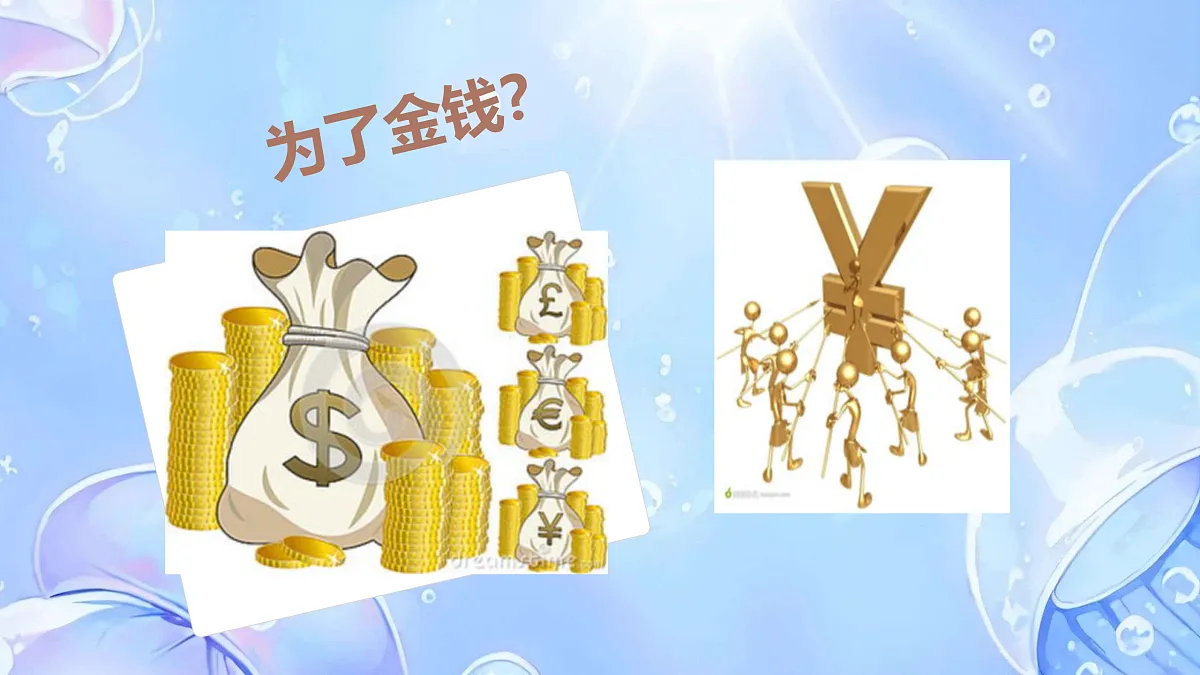 17317289第3页