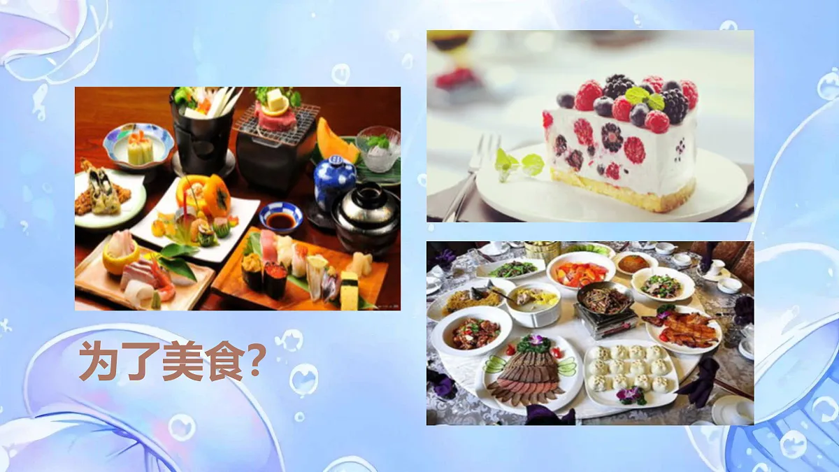 17317289第5页