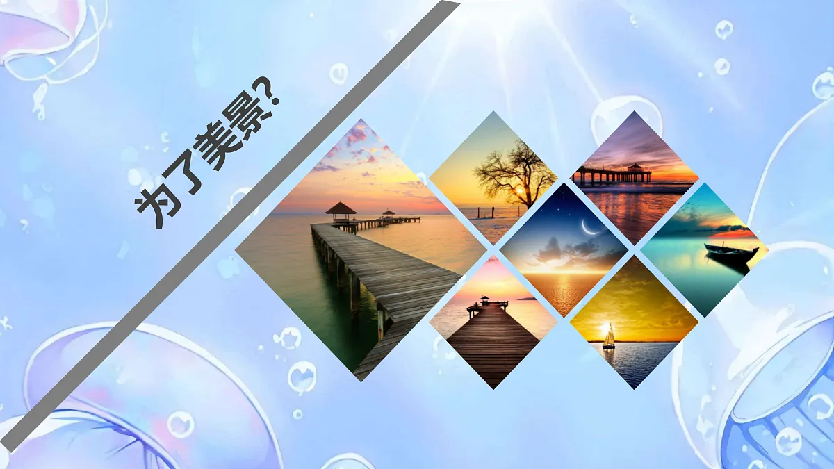 17317289第6页