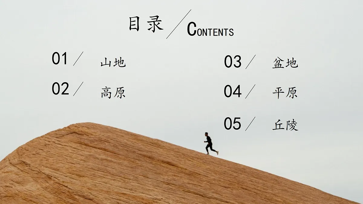 17317606第4页