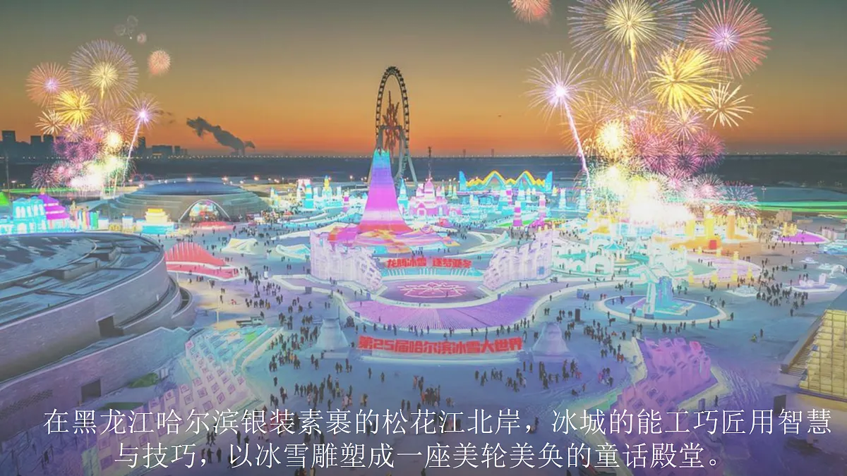 17317607第5页