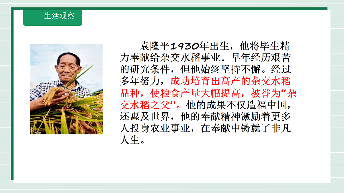 17317694第6页