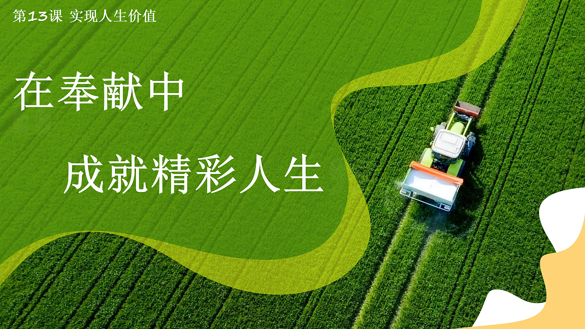 17317696第1页