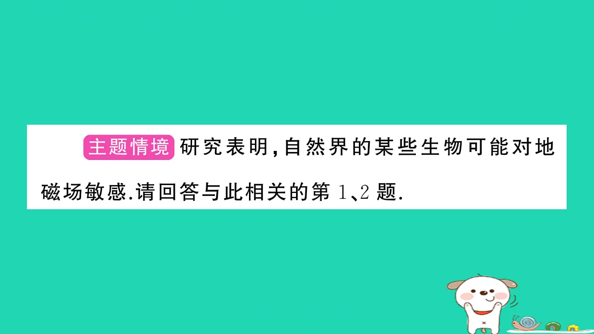 17317706第2页