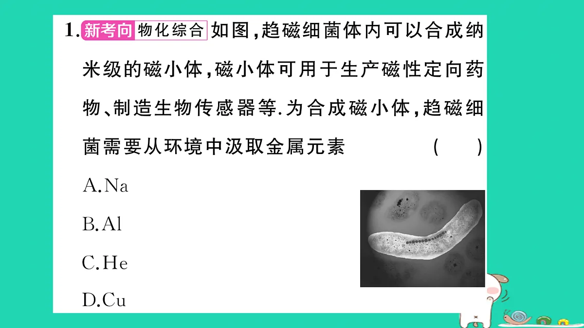 17317706第3页