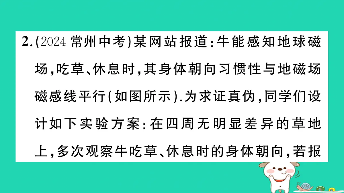17317706第4页