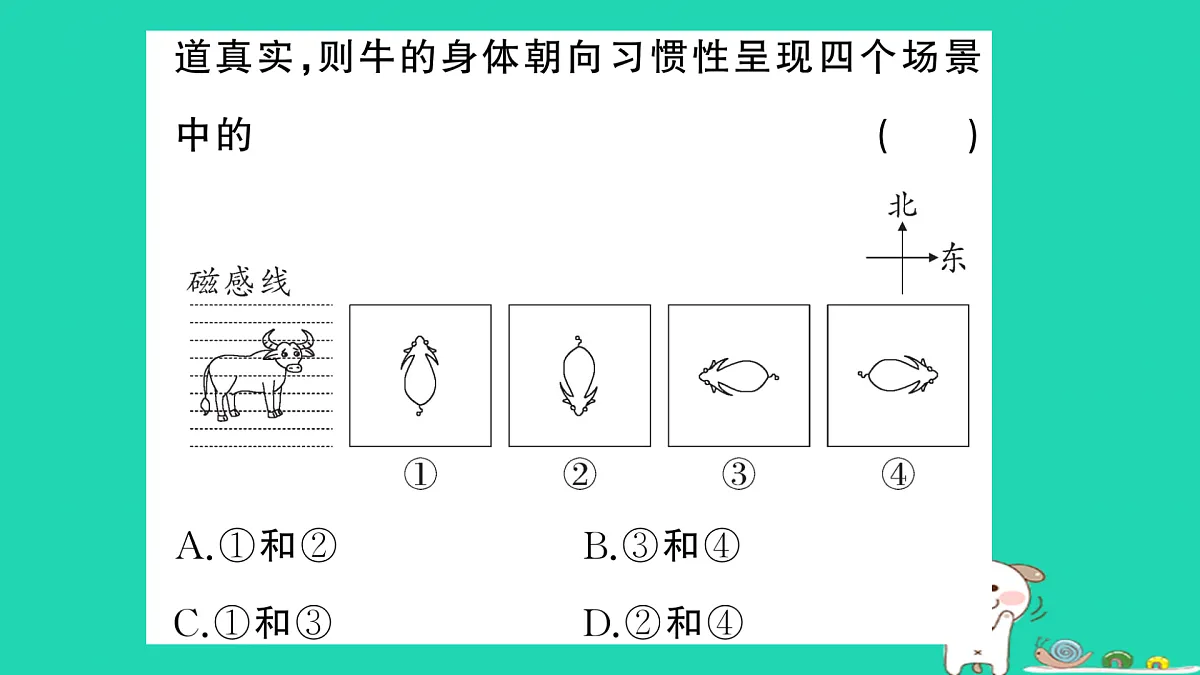 17317706第5页