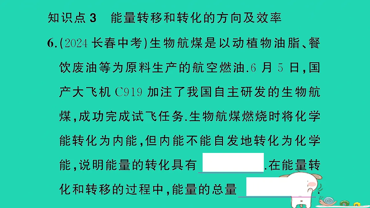 17317707第7页