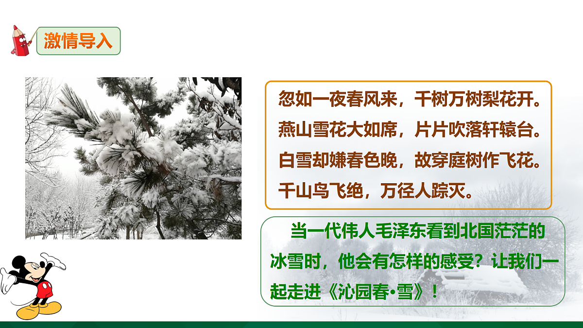 17317716第3页