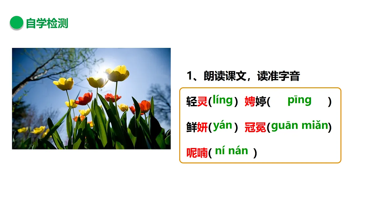 17317742第3页