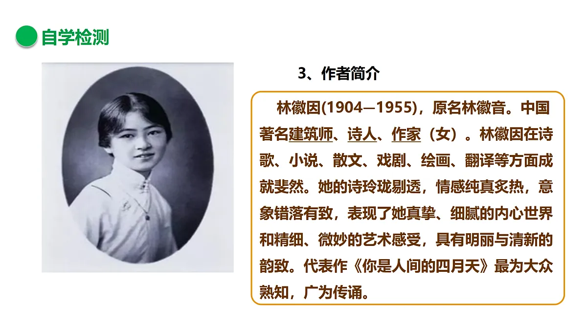 17317742第5页