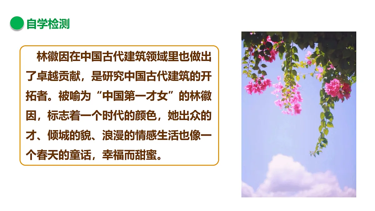 17317742第6页