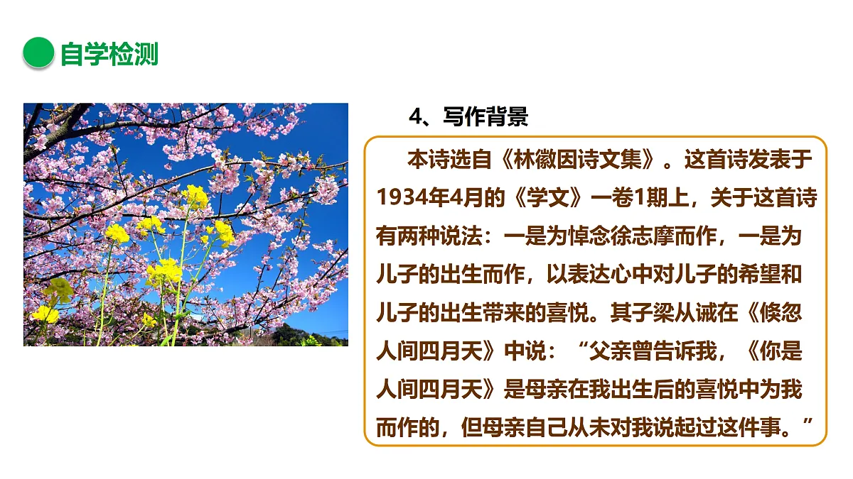 17317742第7页