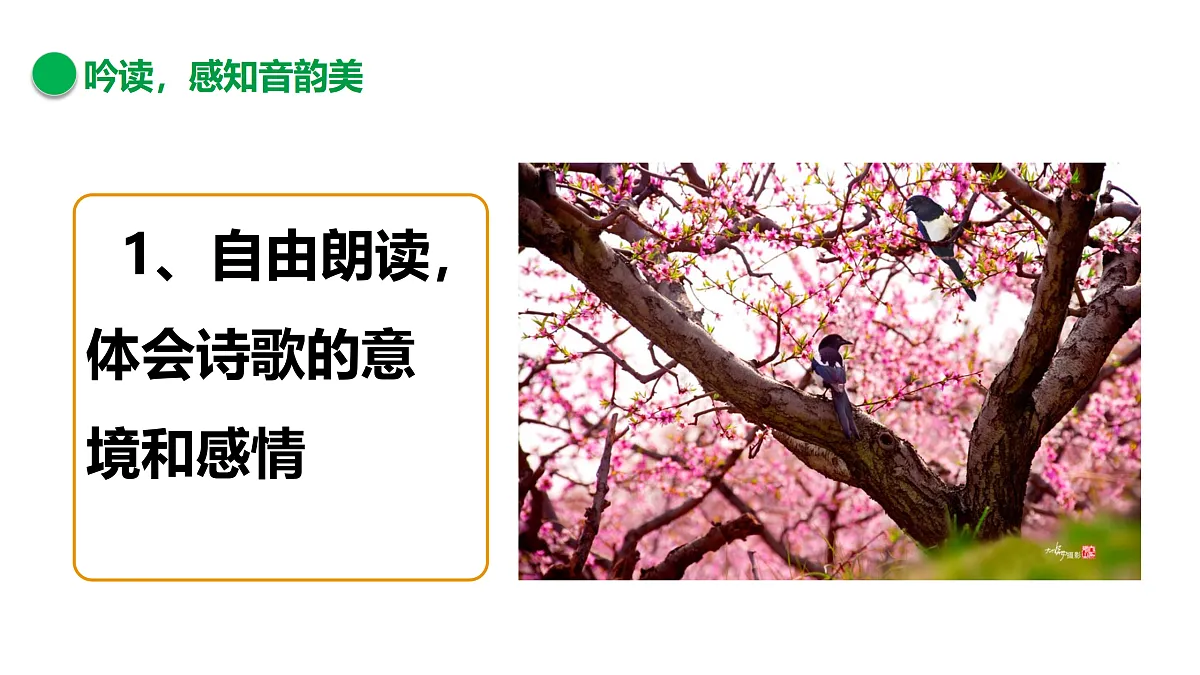 17317742第8页