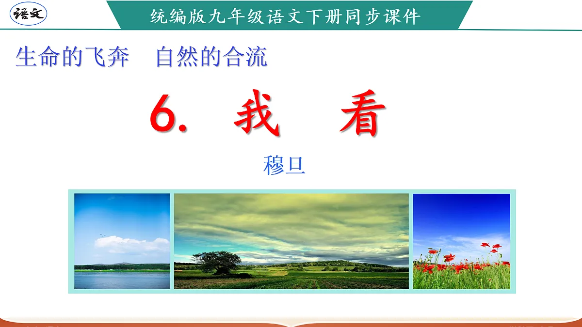 17317753第1页