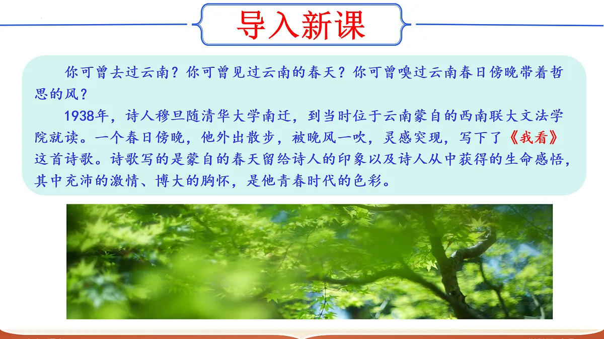 17317753第3页
